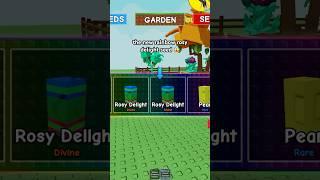 New Rainbow Rosy Delight Seed #roblox #growagarden