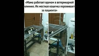 24 июня 2025 г.