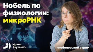 За что дали самую престижную научную премию