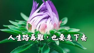 【人生路再難，也要走下去！】獻給很累的你，句句經典，一定要看！