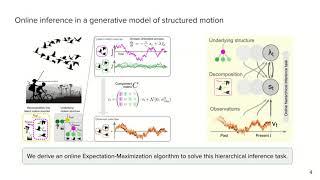 Bill et al Structure in motion visual motion perception as online hierarchical inference