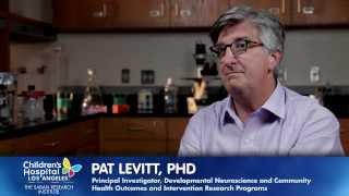 Pat Levitt, PhD, Simms/Mann Chair in Developmental Neurogenetics