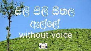 Sili Sili Seethala Alle karaoke (without voice) සිලි සිලි සීතල ඇල්ලේ