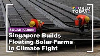 Singapore Builds Floating Solar Farms in Climate Fight | World Today