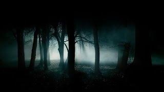 FOREST AT NIGHT  Crickets Owls Rain & Wind – Stress Relief, Healing Relaxation, Deep Sleep, Study