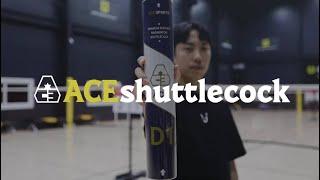 유명 셔틀콕과 비교 시타ㅣ뛰어난 내구성, 합리적인 가격 ACE D-1 셔틀콕