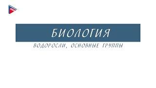 6 класс - Биология - Водоросли, основные группы