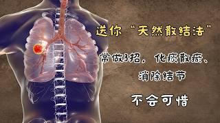 送你“天然散结法”、常做3招，化痰散瘀、清结节，不会可惜！| 中医养生｜身体调理｜气血疏通｜经络养生｜针灸理疗｜【中医针灸理疗师Jimmy】