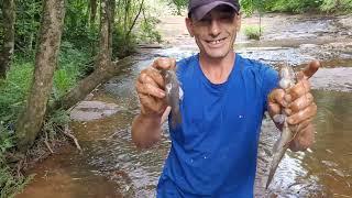 PESCA DE BAGRES Y MOJARRAS CON LAS MANOS | Pesca y Aventura En Misiones Argentina.