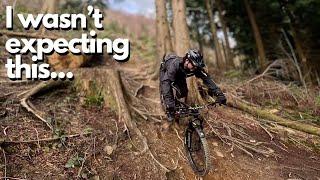 Are these the BEST MTB trails in Wales?