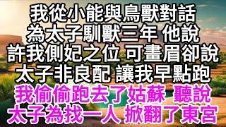 我從小能與鳥獸對話，為太子馴獸三年，他說許我側妃之位，可畫眉卻說，太子非良配，讓我早點跑，我偷偷跑去了姑蘇，聽說，太子為找一人，掀翻了東宮 【美好人生】