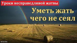 "Уметь жать чего не сеял". В. Шляховой. МСЦ ЕХБ.