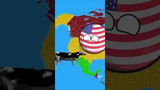 Польша vs США #коровка #мемы #countryballs #кантриболз #animationcountryballs