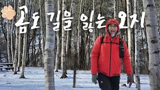 은둔의 땅 방태산 오지 트레킹사람도 없고 신호도 없다️자연의 심장에서 만난 법칙과 깨달음 눈 덮인 원시림, 자작나무 숲, 그리고 대자연