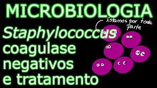 Aula: Microbiologia Médica #11 - Staphylococcus coagulase negativos e tratamento