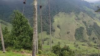 Valle de Cocora/Cocora Valley, Quindío, Colombia