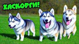 КОРГИ СКРЕСТИЛИ С ХАСКИ!! Мы стали уродами!! Корги Кекс Говорящая собака