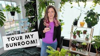 Come tour my sunroom with 40+ thriving houseplants!