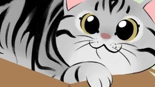 Drawing cats: American Shorthair - digital speed draw