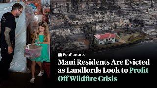 Maui Residents Have Been Evicted as Landlords Look to Profit Off Wildfire Crisis