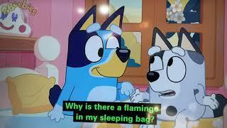 Bluey | Sleepover Ending