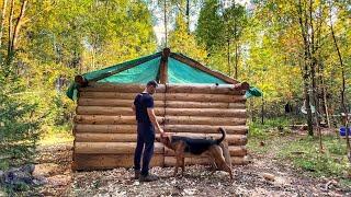 Autumn is approaching -Log cabin is overgrown with walls! Cold weather is just around the corner!