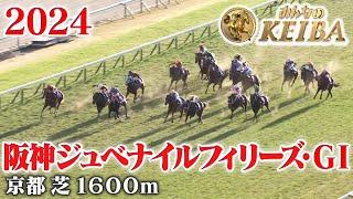 【阪神JF・GⅠ】阪神ジュベナイルフィリーズ 京都 芝 1600m 2024 レース  【みんなのKEIBA】