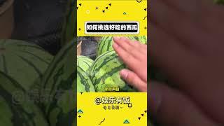 美味西瓜的挑选技巧 #西瓜 #西瓜??  #生活 #小妙招#shorts