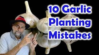 10 Garlic Planting Mistakes in 10 minutes