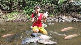 Survival in rainforest, Catch fish many in waterfall, Fish salt roasted with Chili sauce for dinner