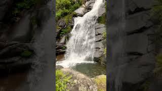 Jai Maa Kaali #shortvideo #shorts #viralvideo #viralshorts #instagram #naturelovers #mountains#love