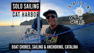 EP35 - SOLO Sailing & ANCHORING at Cat Harbor CATALINA | Dec 9, 2023