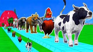 Animal Dance Song | BabyRobyRoby | Nuersery Rymes & Kids Songs