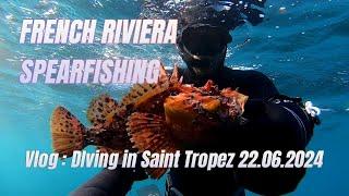 Vlog : My dive in Saint Tropez (sea bass, stripped seabream, Scorpionfish, Stripped red mullet...)