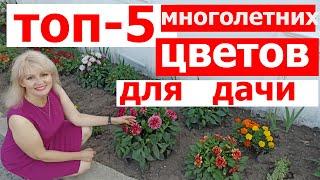 Лучшие многолетние цветы для дачи. The best perennial flowers