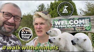 Peak Wildlife Park our first ever visit More Polar bears in England #itsastakesything