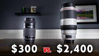 $300 Wildlife Lens vs. $2,400 Wildlife Lens - Is there really a difference??