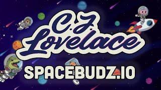 Spacebudz NFT Chapter 1 - The Intro