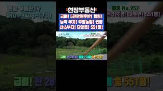 대로변 급매 남한강 조망 산소부지 주말농장 551평 #급매 #주말농장 #남한강 #현천리 #시루섬