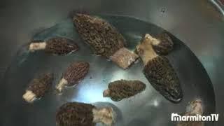 Préparer des morilles fraîches ou séchées