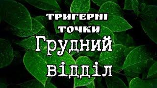 Грудний відділ. Тригерні точки