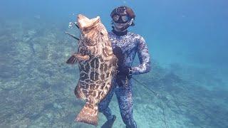 Unbelievable Key West Spearfishing | Early May + Clear Water