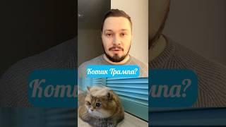 Классная идея для животных #маркетинг