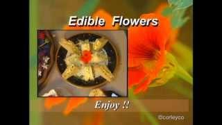 Edible Candied Pansies, Herbal Butter, Floral Confetti - Edible Flower Recipes