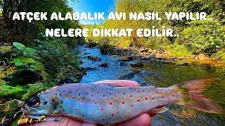 DEREDE ATÇEK ALABALIK AVI NASIL YAPILIR ? ALABALIK AVINDA NELERE DİKKAT EDİLİR? TROUT FİSHİNG