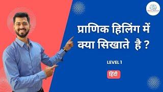 Pranic Healing कार्यशाळा परिचय | हिंदी