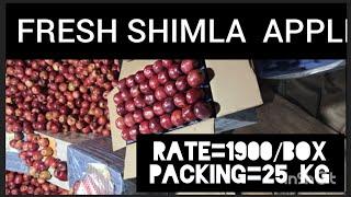  Shimla Apple wholesale market  Apple supply business 