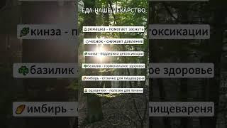 ЕДА- НАШЕ ЛЕКАРСТВО #здоровье #здоровоепитание #правильноепитание #пп #здоровыйобразжизни #продукты
