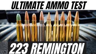 223 Remington Ammo Test!!! [CZ 600 Trail]