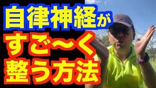 自律神経をすごーーーく整える方法【精神科医・樺沢紫苑】